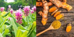 benefits turmeric curcumin