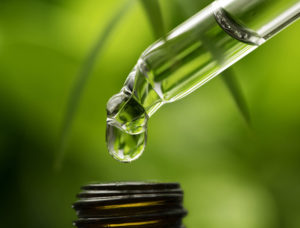 The Truth About CBD Oil