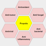 Best turmeric supplement review - A very beneficial supplement for pain and inflammation